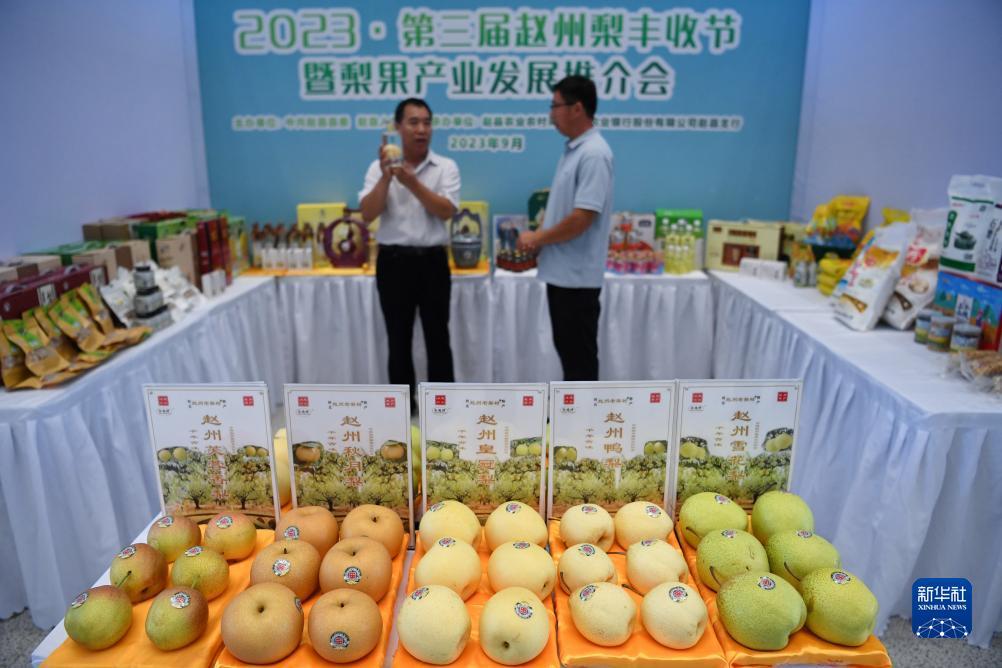 打糖果的网站是多少